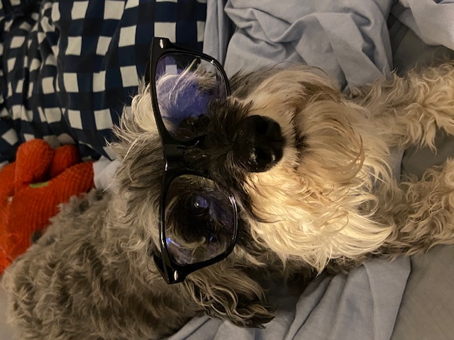 bert